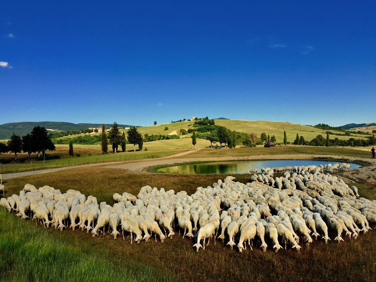 Hotel Relais Val D'Orcia Pienza Esterno foto